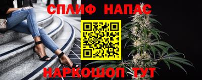 эйфоретик Дубна
