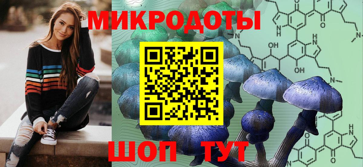 Можга  Галлюциногенные грибы прущие грибы  где найти   Вход с VPN 